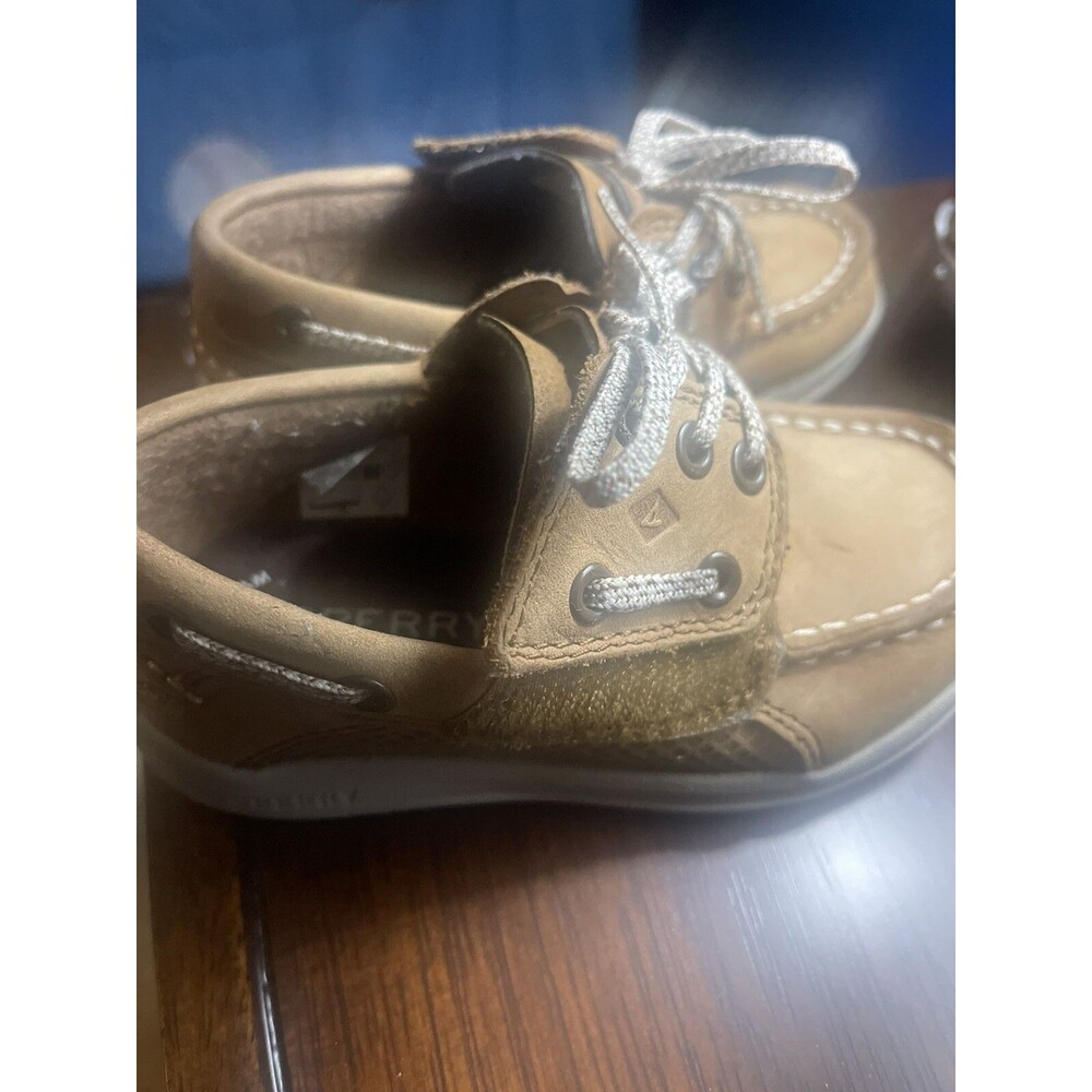 brown sperry 8c boys